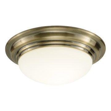 Där Lighting BAR5075 - Griestu lampa vannas istabai BARCLAY 1xE27/60W/230V Ø 38 cm misiņš