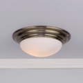 Där Lighting BAR5275 - Griestu gaismeklis vannas istabai BARCLAY 1xE27/60W/230V Ø 31 cm misiņš