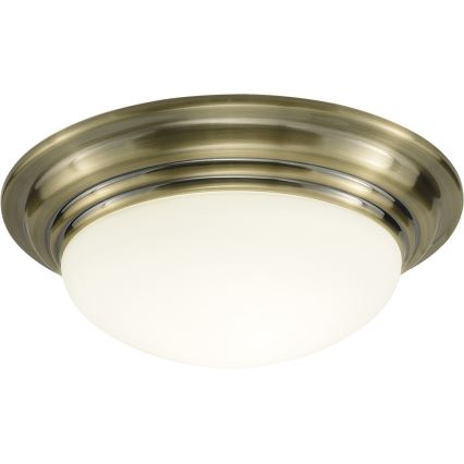 Där Lighting BAR5275 - Griestu gaismeklis vannas istabai BARCLAY 1xE27/60W/230V Ø 31 cm misiņš