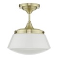 Där Lighting CAD0175 - Vannas istabai paredzēts virsmas griestu gaismeklis CADEN 1xE27/60W/230V IP44 misiņš