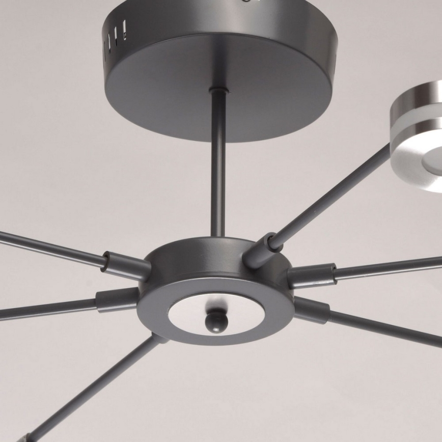 De Markt - LED Piestiprināma lustra BLACK 6xLED/5W/230V