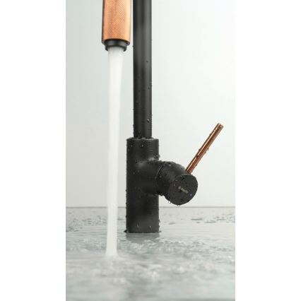 Deante BCA_B64M - Izlietnes jaucējkrāns ASTER, melns/misiņš