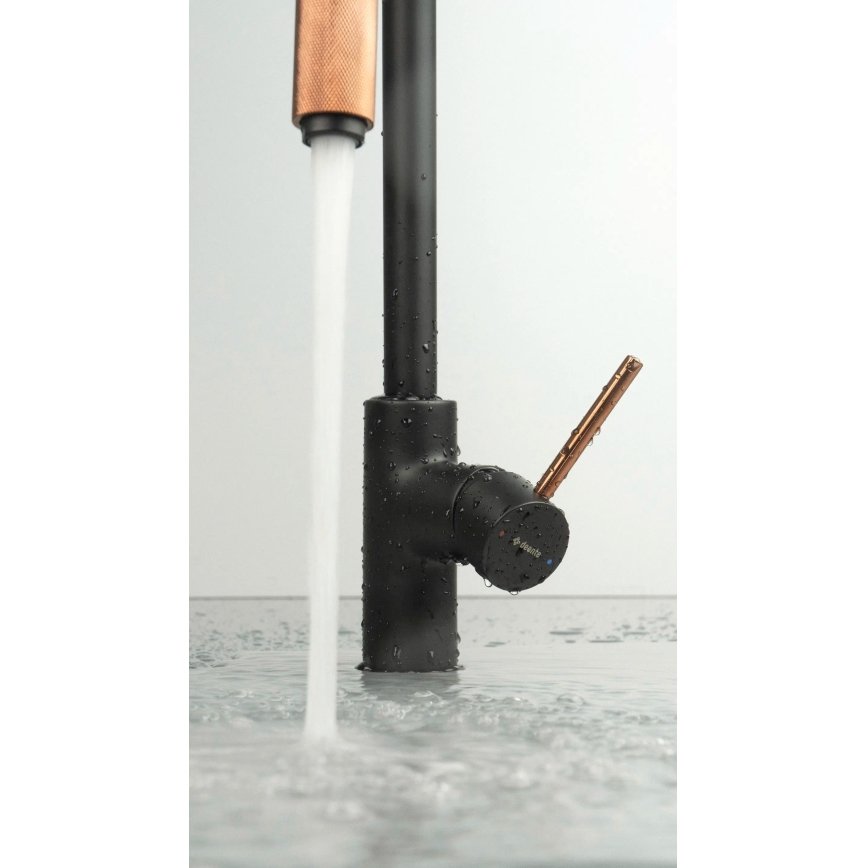 Deante BCA_B64M - Izlietnes jaucējkrāns ASTER, melns/misiņš