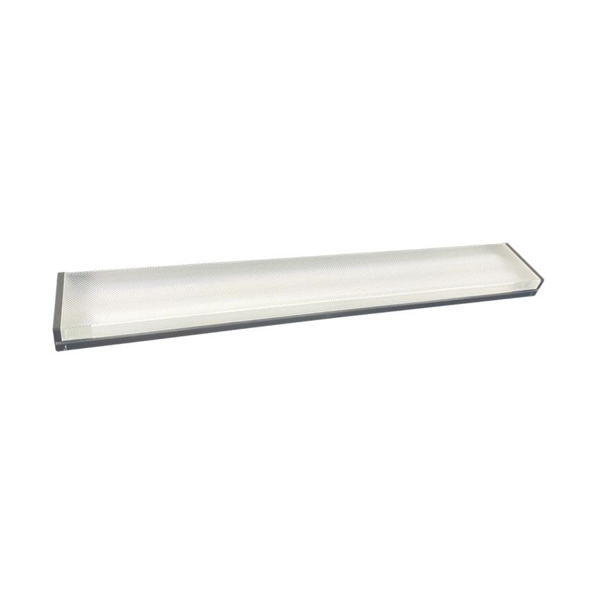 Dienasgaismas lampa 2xG13/18W/230V 124 cm