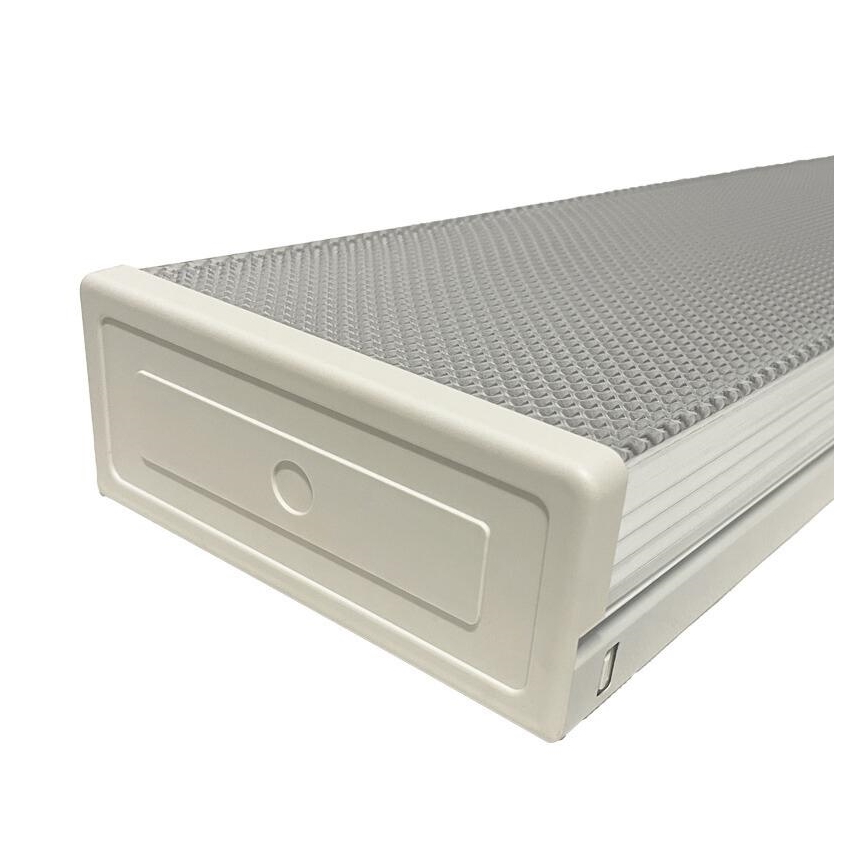 Dienasgaismas lampa T8 2xG13/18W/230V 124 cm