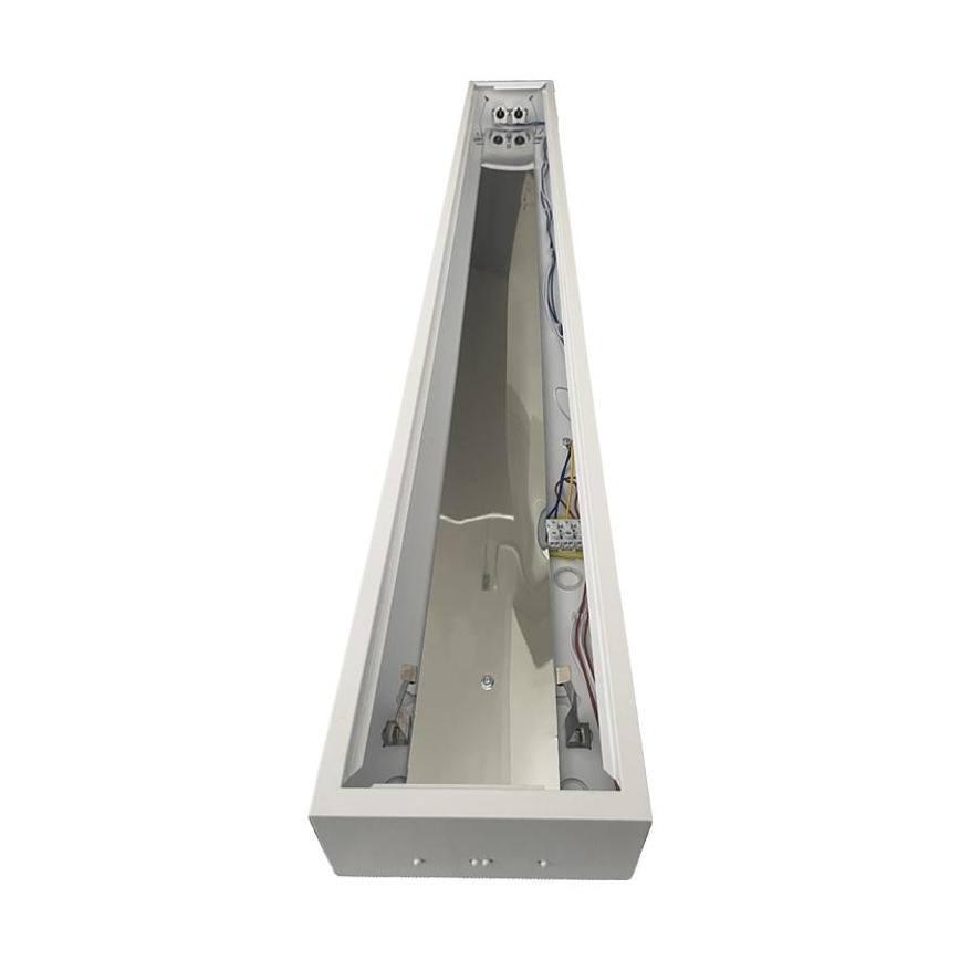 Dienasgaismas lampa T8 2xG13/18W/230V 120 cm balta