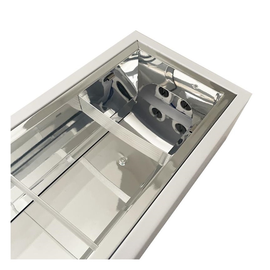 Dienasgaismas lampa T8 2xG13/18W/230V 120 cm balta