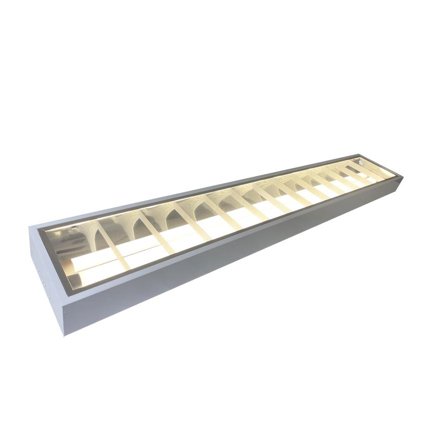 Dienasgaismas lampa T8 2xG13/18W/230V 120 cm balta