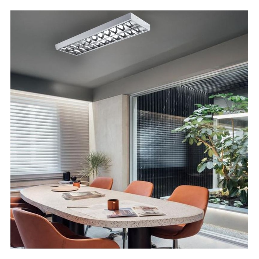 Dienasgaismas lampa T8 2xG13/18W/230V 120 cm