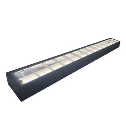 Dienasgaismas lampa T8 2xG13/18W/230V 120 cm melna