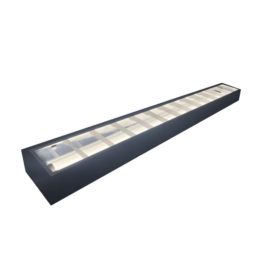 Dienasgaismas lampa T8 2xG13/18W/230V 120 cm melna