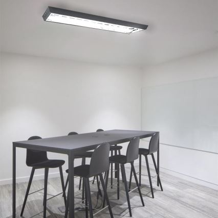 Dienasgaismas lampa T8 2xG13/18W/230V 120 cm melna