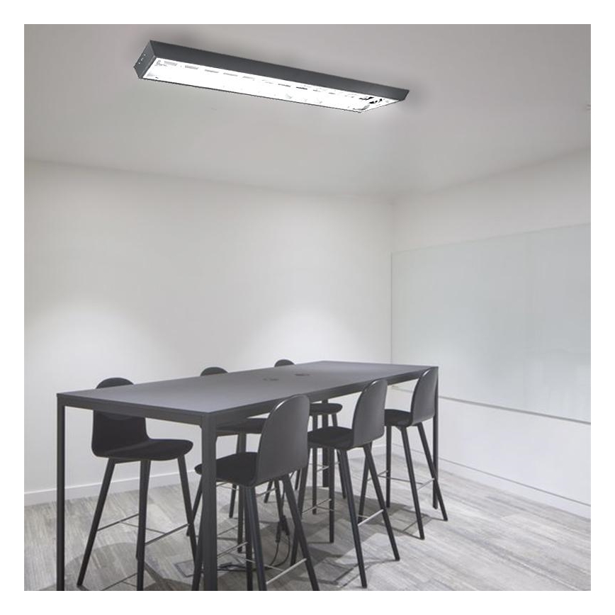 Dienasgaismas lampa T8 2xG13/18W/230V 120 cm melna
