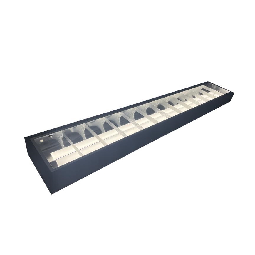 Dienasgaismas lampa T8 2xG13/18W/230V 120 cm melna