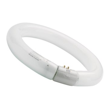 Dienasgaismas spuldze CIRCLINE T9 G10q/22W/230V 3000K d. 20,8 cm - Sylvania