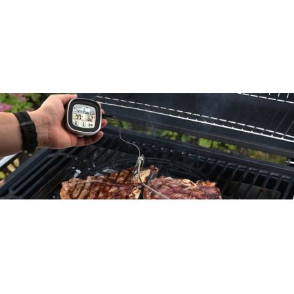 Digitālais gaļas termometrs ar zondi -20-300°C 2xAAA