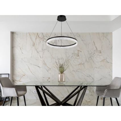 Regulējama LED lustra uz vada ALIANZ LED/60W/230V 3000-6000K Ø 80 cm + tālvadība