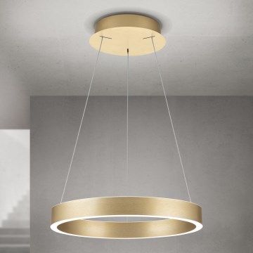 dimējama LED piekaramā lustra uz troses KOLK LED/40W/230V 2700/3000/4000K Ø 40 cm zelta