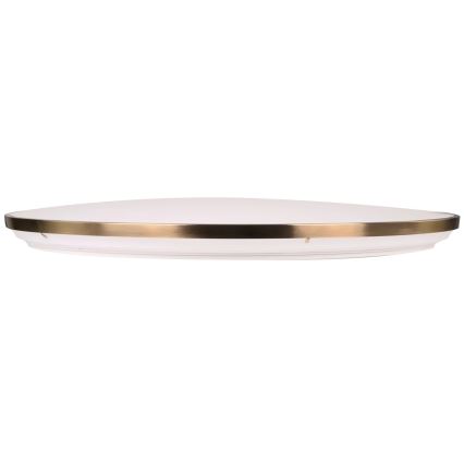 LED griestu gaismeklis ar regulējamu spilgtumu KERN LED/100W/230V 3000/4000/6000K Ø 100 cm zelta + tālvadības pults