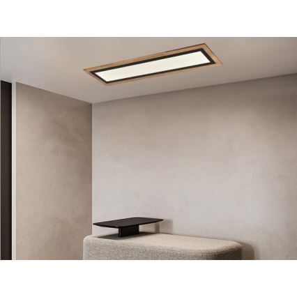 Dimmējams LED griestu lukturis LED/55W/230V 3000-6500K ar tālvadības pulti
