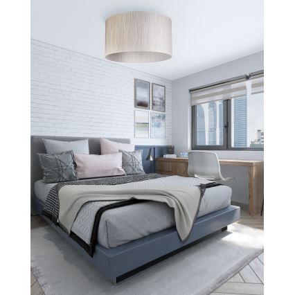 Duolla - Griestu lampa ESSEX 1xE27/40W/230V d. 45 cm sudraba