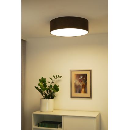 Duolla - LED Griestu lampa CORTINA LED/26W/230V d. 45 cm 4000K brūna