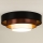 Duolla - LED Griestu lampa LUNETA LED/26W/230V d. 60 cm 4000K melna/varš/balta