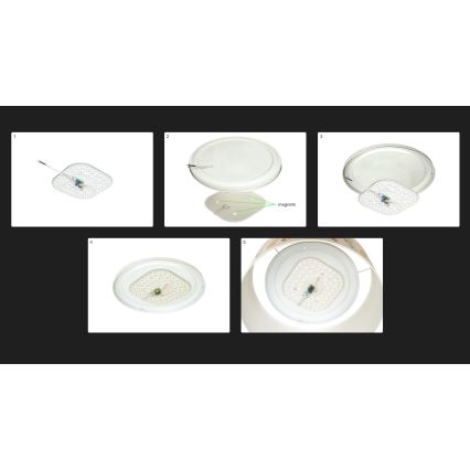 Duolla - LED Griestu lampa LUNETA LED/26W/230V d. 60 cm 4000K melna/varš/balta
