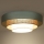 Duolla - LED Griestu lampa LUNETA LED/26W/230V d. 60 cm 4000K tirkīza/bēša/krēmkrāsa