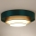 Duolla - LED Griestu lampa LUNETA LED/26W/230V d. 60 cm 4000K zaļa/zelta/balta
