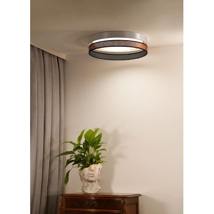 Duolla - LED Griestu lampa ROLLER DUO SHINY LED/24W/230V d. 45 cm balta/varš