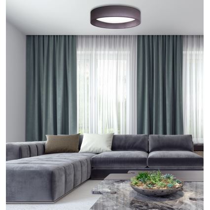 Duolla - LED Griestu lampa ROLLER LED/24W/230V d. 45 cm antracīta