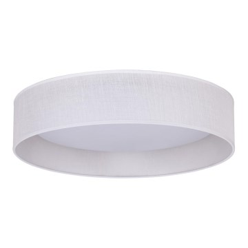 Duolla - LED Griestu lampa ROLLER LED/24W/230V d. 45 cm balta
