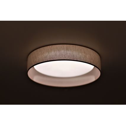 Duolla - LED Griestu lampa ROLLER LED/24W/230V d. 45 cm bēša