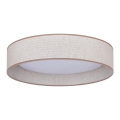 Duolla - LED Griestu lampa ROLLER LED/24W/230V d. 45 cm bēša