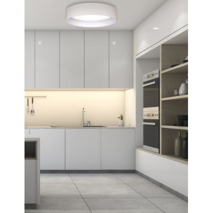Duolla - LED Griestu lampa ROLLER LED/24W/230V d. 45 cm krēmkrāsa