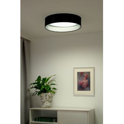 Duolla - LED Griestu lampa ROLLER LED/24W/230V d. 45 cm melna/sudraba