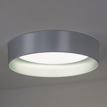 Duolla - LED Griestu lampa ROLLER LED/24W/230V d. 45 cm sudraba