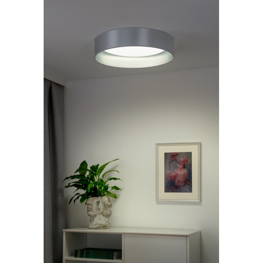 Duolla - LED Griestu lampa ROLLER LED/24W/230V d. 45 cm sudraba