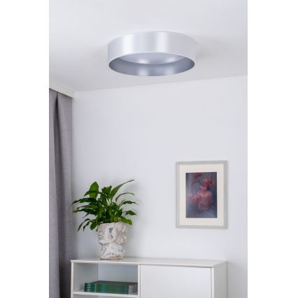 Duolla - LED Griestu lampa ROLLER LED/24W/230V d. 45 cm sudraba