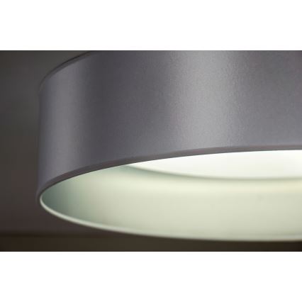 Duolla - LED Griestu lampa ROLLER LED/24W/230V d. 45 cm sudraba