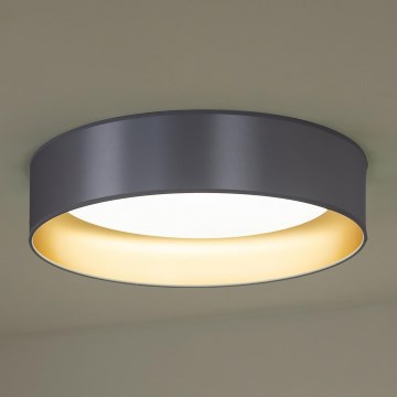 Duolla - LED Griestu lampa ROLLER LED/24W/230V d. 45 cm sudraba/zelta