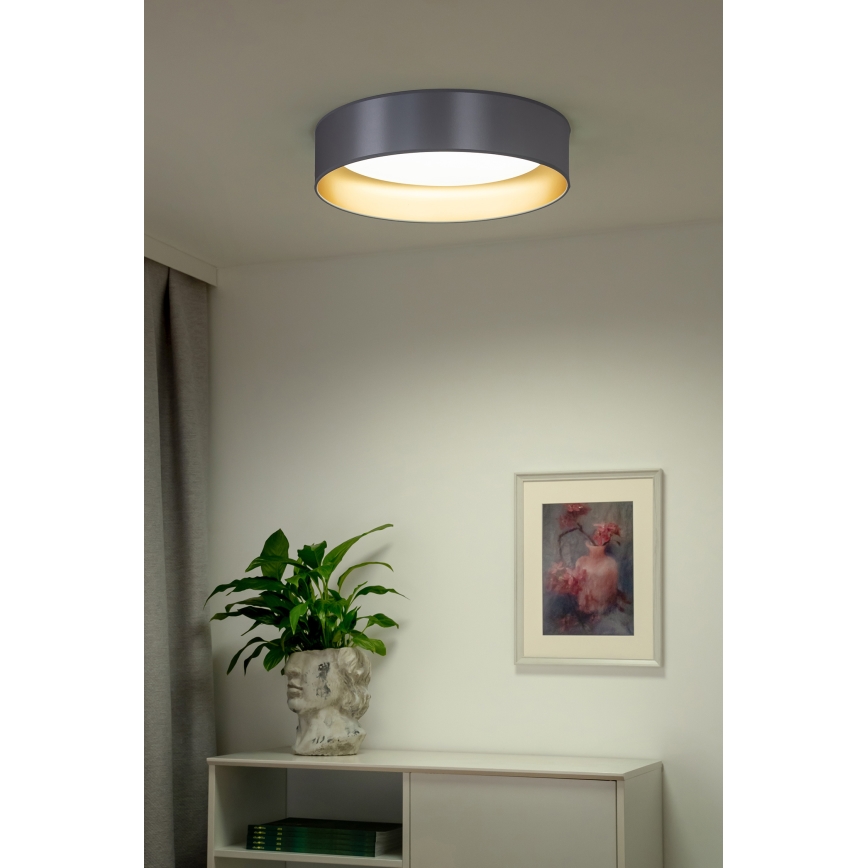Duolla - LED Griestu lampa ROLLER LED/24W/230V d. 45 cm sudraba/zelta