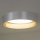 Duolla - LED Griestu lampa ROLLER LED/24W/230V d. 45 cm sudraba/zelta