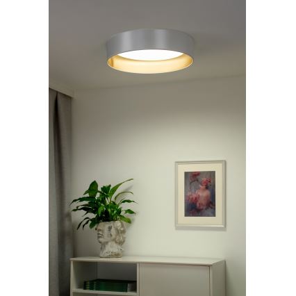 Duolla - LED Griestu lampa ROLLER LED/24W/230V d. 45 cm sudraba/zelta