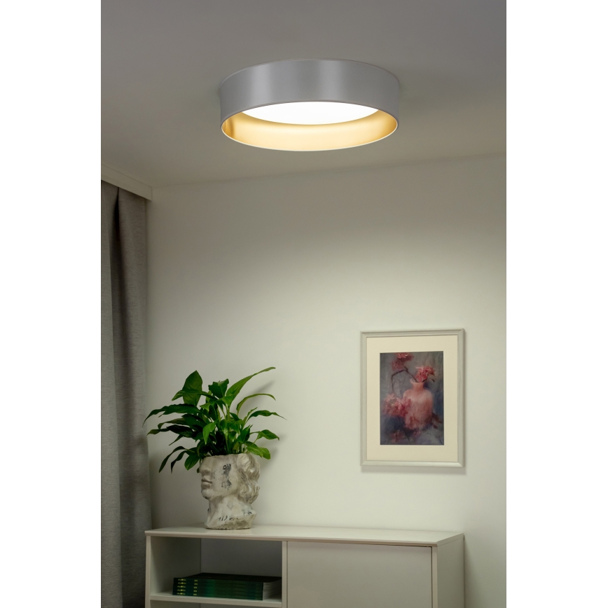 Duolla - LED Griestu lampa ROLLER LED/24W/230V d. 45 cm sudraba/zelta