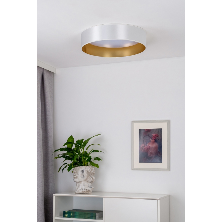 Duolla - LED Griestu lampa ROLLER LED/24W/230V d. 45 cm sudraba/zelta