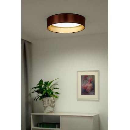Duolla - LED Griestu lampa ROLLER LED/24W/230V d. 45 cm varš/zelta