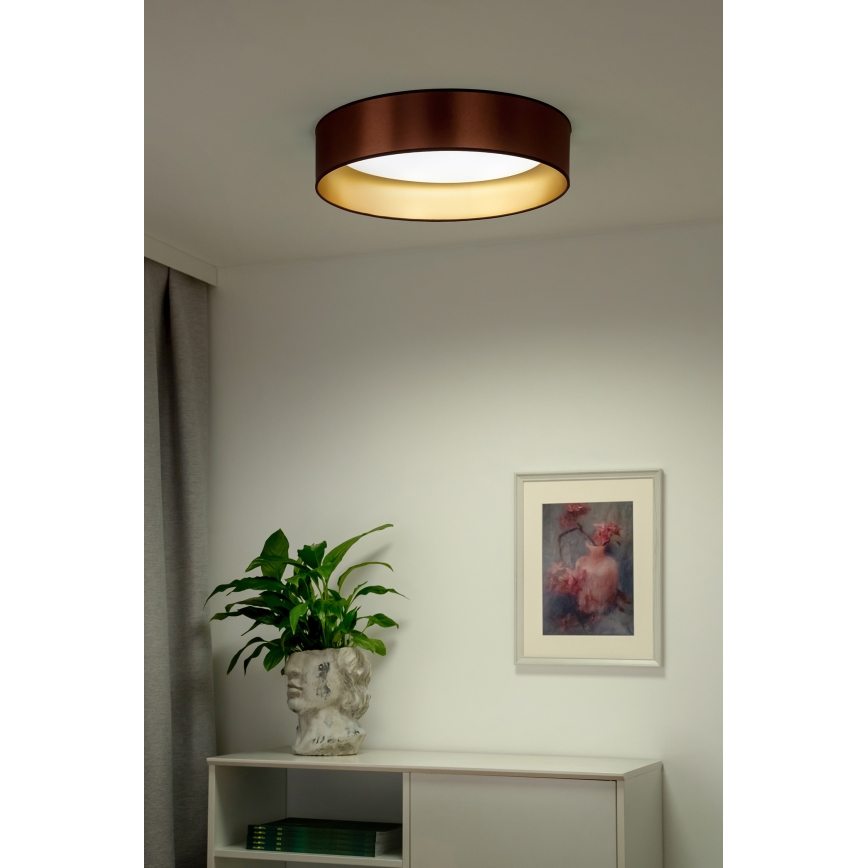 Duolla - LED Griestu lampa ROLLER LED/24W/230V d. 45 cm varš/zelta