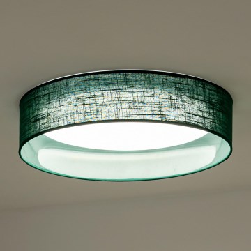 Duolla - LED Griestu lampa ROLLER LED/24W/230V d. 45 cm zaļa